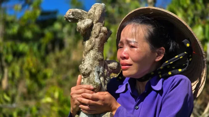 Vụ người phụ nữ khóc ngất bên vườn cà phê bị cưa hạ: Bắt ttamgiam anh rể Vụ người phụ nữ khóc ngất bên vườn cà phê bị cưa hạ: Bắt ttamgiam anh rể