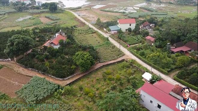 Chi phí chuyển đổi đất vườn sang đất ở mới nhất 2025, ai không biết là thiệt lớn Chi phí chuyển đổi đất vườn sang đất ở mới nhất 2025, ai không biết là thiệt lớn
