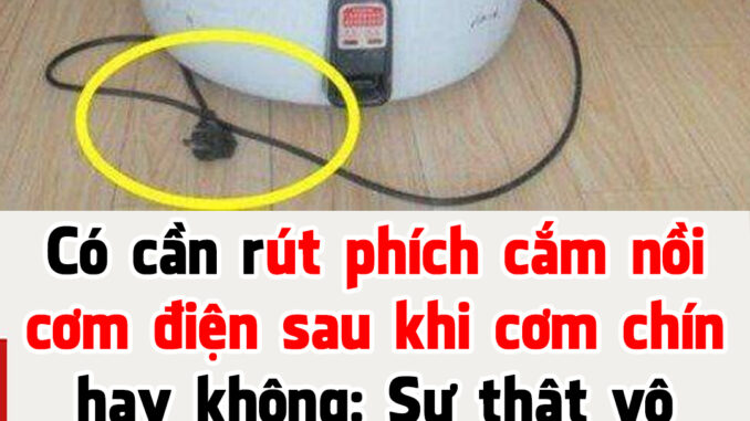Có cần rút phích cắm nồi cơm điện sau khi cơm chín hay không: Câu trả lời thật bất ngờ Có cần rút phích cắm nồi cơm điện sau khi cơm chín hay không: Câu trả lời thật bất ngờ