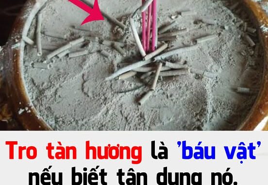 Tro tàn hương là ‘báu vật’ nếu biết tận dụng nó, nhiều người tiếc vì ‘vất tiền’ đi bấy lâu nay Tro tàn hương là ‘báu vật’ nếu biết tận dụng nó, nhiều người tiếc vì ‘vất tiền’ đi bấy lâu nay