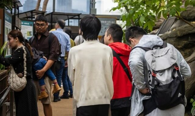 Một sở thú cấm du khách nam đi tham quan 1 mình: Lí do là gì Một sở thú cấm du khách nam đi tham quan 1 mình: Lí do là gì