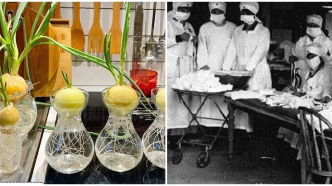 Bác sĩ nói gì với tin lan truyền trên mạng về cách dùng củ hành tây 'hút' virus cúm? Bác sĩ nói gì với tin lan truyền trên mạng về cách dùng củ hành tây 'hút' virus cúm?