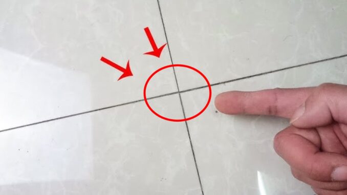 Khe gạch ốp đọng cặn bẩn: Chỉ bạn 5 cách làm sạch đơn giản, chà nhẹ là trắng sáng như mới Khe gạch ốp đọng cặn bẩn: Chỉ bạn 5 cách làm sạch đơn giản, chà nhẹ là trắng sáng như mới