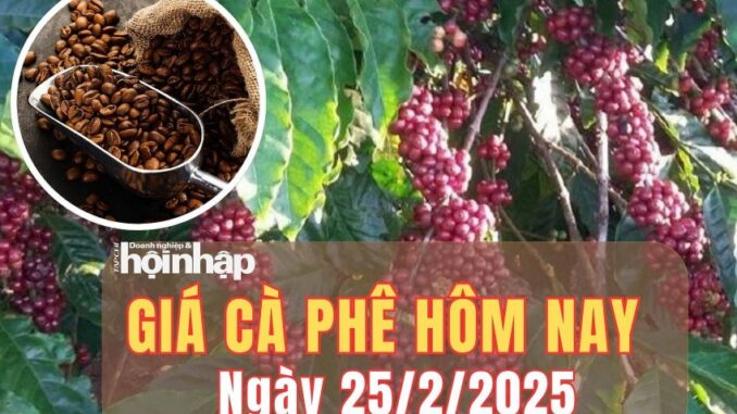 Giá cà phê hôm nay 25/2 Giá cà phê hôm nay 25/2