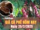 Giá cà phê hôm nay 25/2