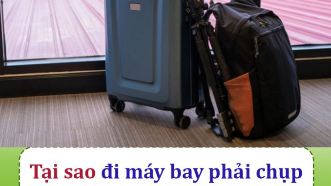 Tại sao đi máy bay phải chụp ảnh hành lý trước khi ký gửi? Lý do rất quan trọng Tại sao đi máy bay phải chụp ảnh hành lý trước khi ký gửi? Lý do rất quan trọng
