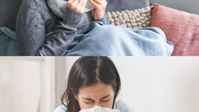 Bị cúm nên uống 4 loại nước này để tăng miễn dịch: Bệ::nh khỏi nhanh mà chẳng tốn tiền thu::ốc