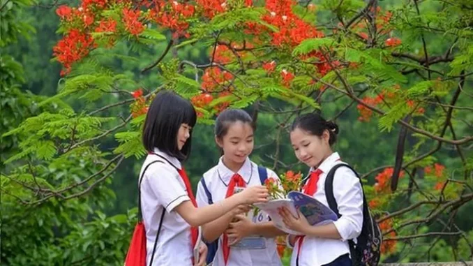 Lịch nghỉ hè năm học 2024-2025 của học sinh cả nước Lịch nghỉ hè năm học 2024-2025 của học sinh cả nước