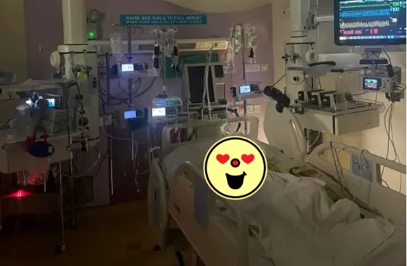 Cả mạng xã hội liên tục nhắc tên Phạm Thoại và mẹ bé Bắp: Chuyện gì đang xảy ra? Cả mạng xã hội liên tục nhắc tên Phạm Thoại và mẹ bé Bắp: Chuyện gì đang xảy ra?