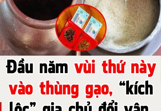Đầu năm vùi thứ này vào thùng gạo, “kích lộc” gia chủ đổi vận, tiền đếm mỏi tay Đầu năm vùi thứ này vào thùng gạo, “kích lộc” gia chủ đổi vận, tiền đếm mỏi tay