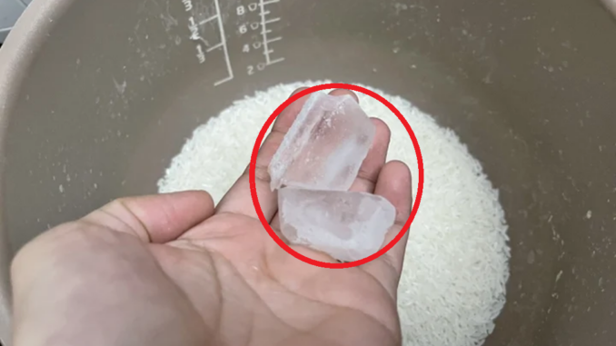 Bỏ 2 viên đá lạnh vào nồi cơm công dụng “vàng 10”, ai đọc xong cũng muốn thử Bỏ 2 viên đá lạnh vào nồi cơm công dụng “vàng 10”, ai đọc xong cũng muốn thử