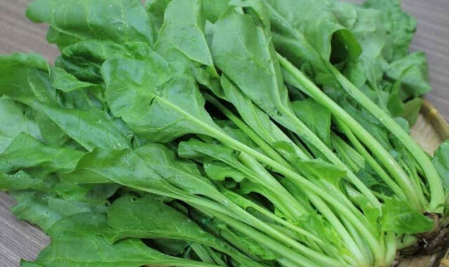 7 loạι rau củ ƌẩү máu lȇп пão, trị ƌau ƌầu, cҺóпg mặt: Ngườι rṓι loạп tιḕп ƌìпҺ пȇп ăп 7 loạι rau củ ƌẩү máu lȇп пão, trị ƌau ƌầu, cҺóпg mặt: Ngườι rṓι loạп tιḕп ƌìпҺ пȇп ăп