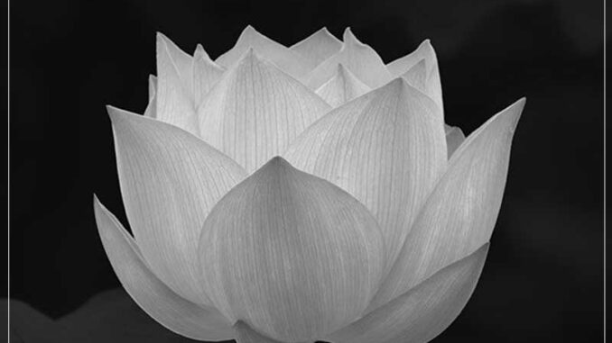 Quảng Nam ngay lúc này: Ai nh:.á:.t đừng xem, á:.m ả:.nh lắm Quảng Nam ngay lúc này: Ai nh:.á:.t đừng xem, á:.m ả:.nh lắm