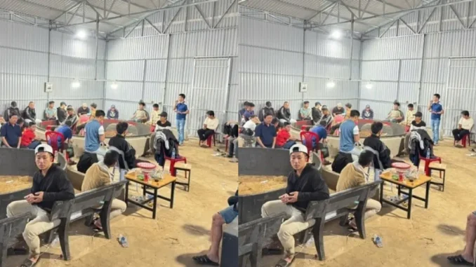 Đắk Lắk: Triệt phá tụ điểm đá gà ă.n tiề.n, bắt giữ 50 đối tượng Đắk Lắk: Triệt phá tụ điểm đá gà ă.n tiề.n, bắt giữ 50 đối tượng
