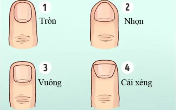 Đàn bà có ngón tay kiểu này đích thị "mệnh giàu số sướng", tiền tỷ trong tay, cư.ớp sạch vận may thiên hạ Đàn bà có ngón tay kiểu này đích thị "mệnh giàu số sướng", tiền tỷ trong tay, cư.ớp sạch vận may thiên hạ