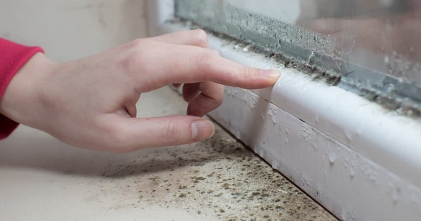 Trời mưa nhà ẩm, hãy cẩn thận với thứ đ:ộc gấp 68 lần thạch tín, kiểm tra ngay 4 vị trí trong nhà Trời mưa nhà ẩm, hãy cẩn thận với thứ đ:ộc gấp 68 lần thạch tín, kiểm tra ngay 4 vị trí trong nhà