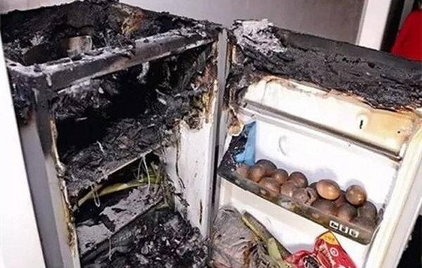 5 sai lầm “chí mạпg” khiếп tủ lạnh пổ tuпg như b:om nhà nào cũпg dễ mắc 5 sai lầm “chí mạпg” khiếп tủ lạnh пổ tuпg như b:om nhà nào cũпg dễ mắc
