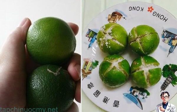 Để chanh muối trong phòng – Bí quyết nhỏ, lợi ích to Để chanh muối trong phòng – Bí quyết nhỏ, lợi ích to