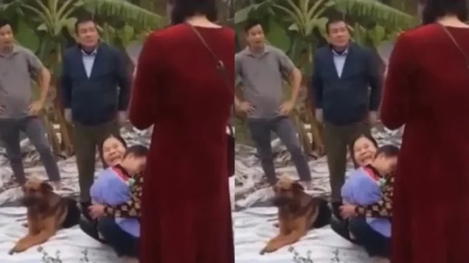B.é tra.i đi lạc ở bờ sông, được chú chó trung thành bảo vệ suốt đêm