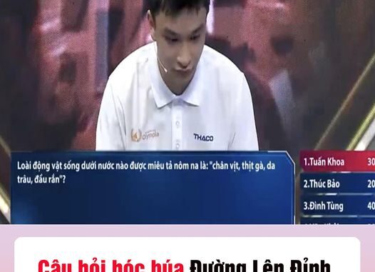 Câu hỏi hóc búa Đường Lên Đỉnh Olympia gây bàn tán “Con gì chân vịt, thịt gà, da trâu, đầu rắn?” Câu hỏi hóc búa Đường Lên Đỉnh Olympia gây bàn tán “Con gì chân vịt, thịt gà, da trâu, đầu rắn?”