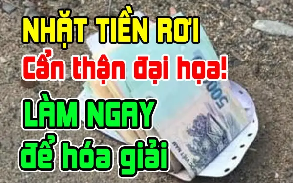 Nhặt được tiền là điềm báo gì? Chưa chắc đã là may mắn, có thể là đại họa, làm ngay 1 điều để hóa giải, phúc lộc lại dồi dào Nhặt được tiền là điềm báo gì? Chưa chắc đã là may mắn, có thể là đại họa, làm ngay 1 điều để hóa giải, phúc lộc lại dồi dào