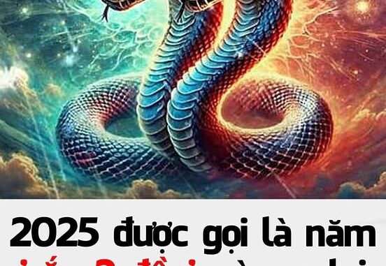 2025 được gọi là năm ‘rắn 2 đầu’, vì sao lại như vậy? 2025 được gọi là năm ‘rắn 2 đầu’, vì sao lại như vậy?