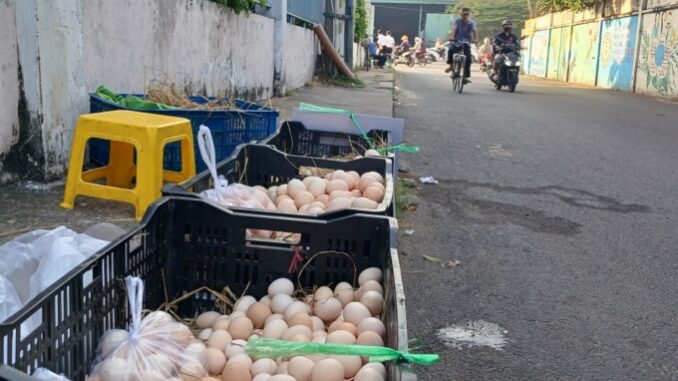 Trứng gà giá rẻ chỉ 1.800 đồng/quả bán đầy đường TP HCM: Nghe tiểu thương t;;iết l;;;ộ nguồn gốc mà ng;;ã ng;;ửa luôn Trứng gà giá rẻ chỉ 1.800 đồng/quả bán đầy đường TP HCM: Nghe tiểu thương t;;iết l;;;ộ nguồn gốc mà ng;;ã ng;;ửa luôn