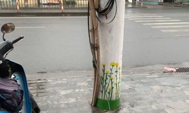 Công ty Điện lực tỉnh Ninh Bình cắt cáp của SCTV, gây gián đoạn dịch vụ trên diện rộng Công ty Điện lực tỉnh Ninh Bình cắt cáp của SCTV, gây gián đoạn dịch vụ trên diện rộng