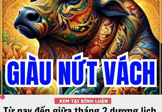 Từ nay đến giữa tháng 2 dương lịch, 3 con giáp thu quả ngọt tiền tài, hầu bao căng tràn, sự nghiệp tiến xa, sung túc ấm no, mọi điều viên mãn Từ nay đến giữa tháng 2 dương lịch, 3 con giáp thu quả ngọt tiền tài, hầu bao căng tràn, sự nghiệp tiến xa, sung túc ấm no, mọi điều viên mãn