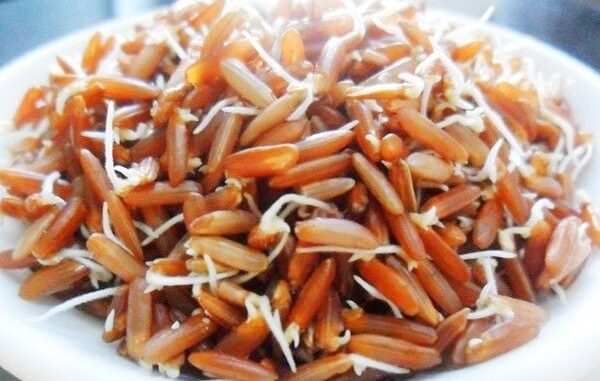 Những loại thực phẩm mọc mầm quý hơn ‘vàng mười’ Những loại thực phẩm mọc mầm quý hơn ‘vàng mười’