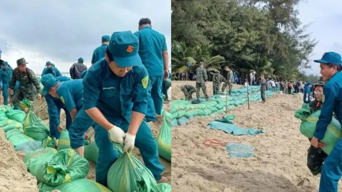 Quảng Ngãi huy động hàng trăm bộ đội, người dân gia cố khẩn cấp bờ biển Mỹ Khê Quảng Ngãi huy động hàng trăm bộ đội, người dân gia cố khẩn cấp bờ biển Mỹ Khê