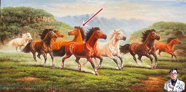 Vì sao trong bức tranh ‘Mã đáo thành công’ luôn có 1 con ngựa quay đầu nhìn lại Vì sao trong bức tranh ‘Mã đáo thành công’ luôn có 1 con ngựa quay đầu nhìn lại
