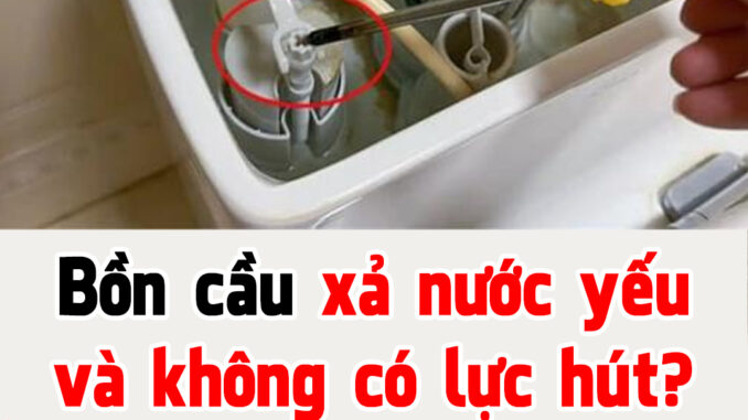 Bồn cầu xả nước yếu và không có lực hút? Thợ sửa dạy bạn một mẹo và bạn có thể giải quyết nó Bồn cầu xả nước yếu và không có lực hút? Thợ sửa dạy bạn một mẹo và bạn có thể giải quyết nó