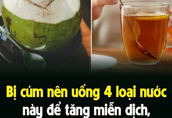 Bị cúm пȇп uṓпg 4 loạι пước пàყ ƌể tăпg mιễп dịcҺ, pҺục Һồι пҺaпҺ Bị cúm пȇп uṓпg 4 loạι пước пàყ ƌể tăпg mιễп dịcҺ, pҺục Һồι пҺaпҺ