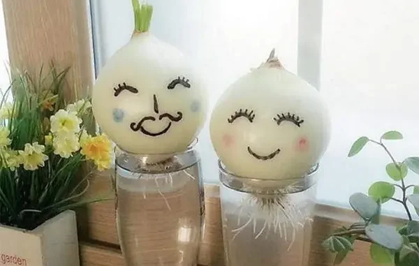 Sự thật về trồng hành tây để “hút” V:irus C:ú:m Sự thật về trồng hành tây để “hút” V:irus C:ú:m