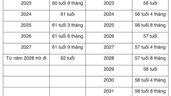 Tuổi nghỉ hưu chính thức của cán bộ, công chức trong năm 2025 là bao nhiêu? Tuổi nghỉ hưu chính thức của cán bộ, công chức trong năm 2025 là bao nhiêu?