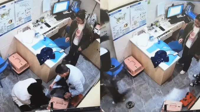 Nếu không có camera thì không phán được điều gì: Cứ bảo “cháu nó ở nhà ngoan lắm”! Nếu không có camera thì không phán được điều gì: Cứ bảo “cháu nó ở nhà ngoan lắm”!