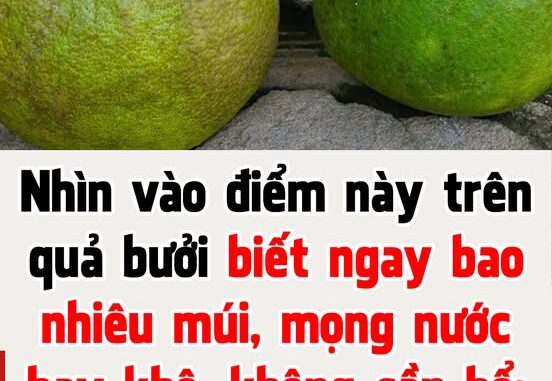 Nhìn vào điểm này trên quả bưởi biết ngay bao nhiêu múi, mọng nước hay khô, không cần bổ: Ai không biết quá phí Nhìn vào điểm này trên quả bưởi biết ngay bao nhiêu múi, mọng nước hay khô, không cần bổ: Ai không biết quá phí