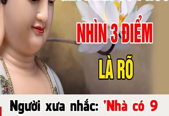 Người xưa nhắc: ‘Nhà có 9 điềm lành, gia đình có phúc báo’, đó là những điềm nào? Người xưa nhắc: ‘Nhà có 9 điềm lành, gia đình có phúc báo’, đó là những điềm nào?