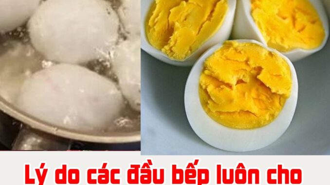 Lý do các đầu bếp luôn cho chanh vào nồi luộc trứng là gì? Biết câu trả lời ai cũng tiếc vì không biết sớm hơn Lý do các đầu bếp luôn cho chanh vào nồi luộc trứng là gì? Biết câu trả lời ai cũng tiếc vì không biết sớm hơn