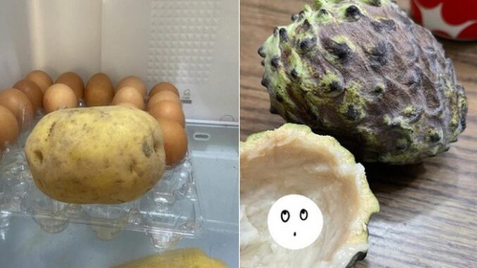 Hôm nay tôi mới phát hiện ra rằng 5 thứ này không được phép cho vào tủ lạnh! Càng để lâu thì tình trạng càng tệ Hôm nay tôi mới phát hiện ra rằng 5 thứ này không được phép cho vào tủ lạnh! Càng để lâu thì tình trạng càng tệ