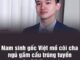 Nam sinh gốc Việt mồ côi cha, ngủ gầm cầu trúng tuyển ĐH Harvard