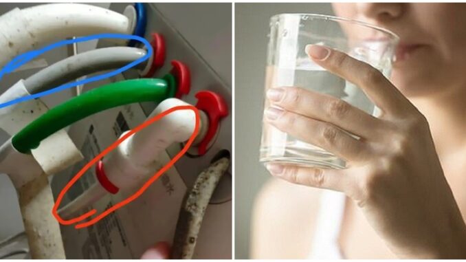 Người phụ nữ phát hiện mình uống nhầm 'nước thải' suốt 5 năm vì bị lắp nhầm đường ống máy lọc nước Người phụ nữ phát hiện mình uống nhầm 'nước thải' suốt 5 năm vì bị lắp nhầm đường ống máy lọc nước