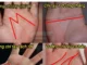 Phụ nữ có đường chỉ tay này là số giàu có, phú quý may mắn cả đời