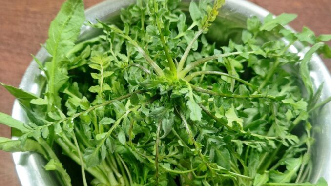 Mất ngủ do gan hỏa quá mức, ăn nhiều 3 món này để làm ẩm phổi, thanh nhiệt, ngủ ngon đến sáng! Mất ngủ do gan hỏa quá mức, ăn nhiều 3 món này để làm ẩm phổi, thanh nhiệt, ngủ ngon đến sáng!