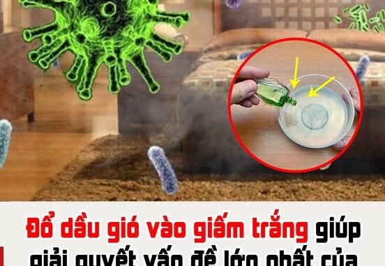 Đổ dầu gió vào giấm trắng giúp giải quyết vấn đề lớn nhất của mọi nhà! Tiếc rằng đến bây giờ nhiều người mới biết Đổ dầu gió vào giấm trắng giúp giải quyết vấn đề lớn nhất của mọi nhà! Tiếc rằng đến bây giờ nhiều người mới biết