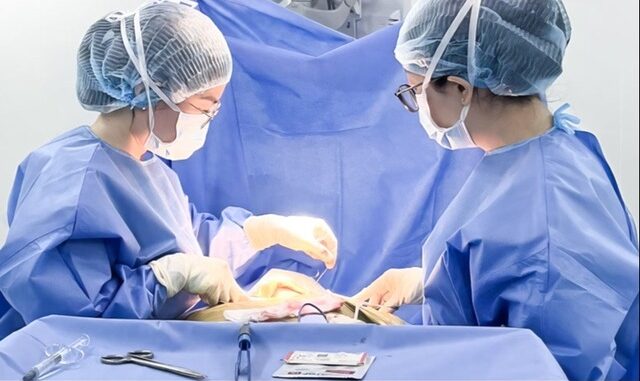 Người phụ nữ 54 tuổi phát hiện ung thư tuyến giáp từ dấu hiệu nhiều người bỏ qua Người phụ nữ 54 tuổi phát hiện ung thư tuyến giáp từ dấu hiệu nhiều người bỏ qua