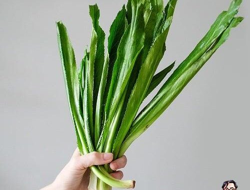 Công dụng ít ai ngờ của mùi tàu Công dụng ít ai ngờ của mùi tàu