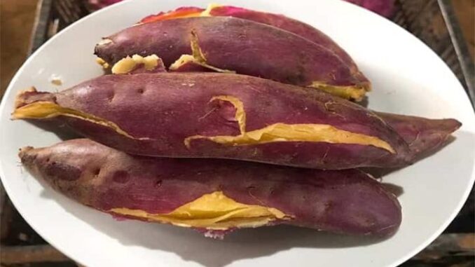 Luộc khoai lang đừng chỉ cho nước lã, thêm 1 thìa này, củ nào cũng bở, ngọt lừ Luộc khoai lang đừng chỉ cho nước lã, thêm 1 thìa này, củ nào cũng bở, ngọt lừ