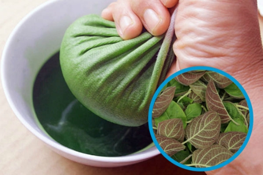 Loại lá mọc ở bờ tường, bờ bụi được coi là “linh hồn” khi ăn kèm thịt chó, có 21 công dụng tuyệt vời Loại lá mọc ở bờ tường, bờ bụi được coi là “linh hồn” khi ăn kèm thịt chó, có 21 công dụng tuyệt vời
